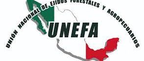 UNEFA LOGO